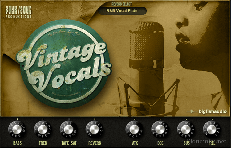 Big Fish Audio Vintage Vocals Kontakt 