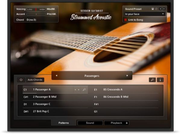 扫弦木吉他-Session Guitarist Strummed Acoustic 1.1.0 Kontakt :-1