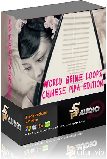 嘻哈中国风琵琶采样 P5audio World Grime Loops and Licks Chinese Pipa WAV-1